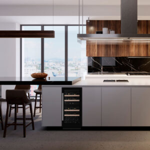 DUNAVOX Flow-32D