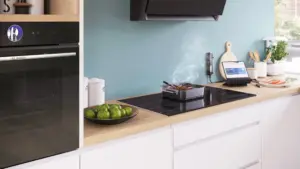 Bosch HEZ32WA00 belaidis maisto termometras