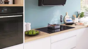 Bosch HEZ32WA00 belaidis maisto termometras