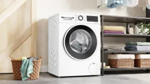 Bosch WNG2540LSN skalbyklė-džiovyklė