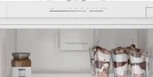 Bosch Serija 2 Įmontuojamasis šaldytuvas 177.2 x 54.1 cm slankiojantis vyris