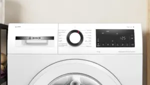 Bosch WGG254FTSN skalbyklė, pakraunama iš priekio