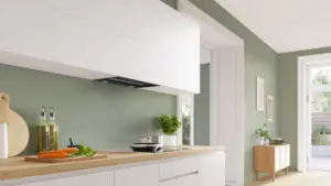 Bosch Serija 6 Integruojamasis kamino tipo gartraukis 60 cm skaidrus stiklas su juodu atspaudu, Matinė juoda