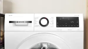 Bosch WGG246F1SN skalbyklė, pakraunama iš priekio