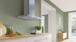 Bosch DWB93BC30 sieninis gartraukis