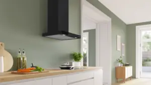 Bosch DWB67DN60 sieninis gartraukis