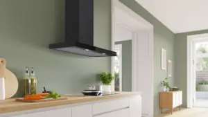 Bosch DWB97DN60 sieninis gartraukis