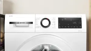 Bosch WGG256FLSN skalbyklė, pakraunama iš priekio