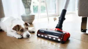 Belaidis dulkių siurblys BOSCH BCS711PET