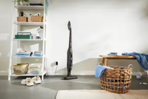 Belaidis dulkių siurblys BOSCH BCHF2MX16L