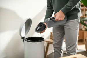 Belaidis dulkių siurblys BOSCH BBHF214GRB